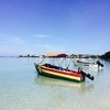 Trip to Jamaica: Montego Bay, Negril, Treasure Island, Kingston, Ocho Rios and Maroon Village